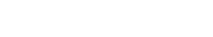 PANDORA mini