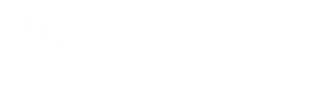 volca bass